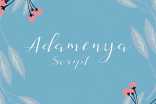 Adamenya Font: Elevating Small Business Branding