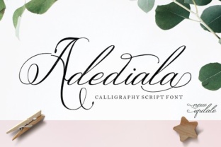 Adediala Font: A Script Handwritten Choice for Organic Branding