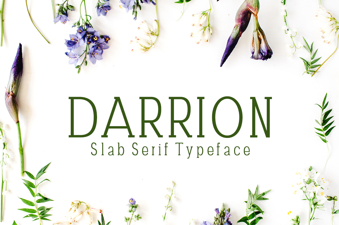 Enhance Your Brand with Darrion Slab Serif Font