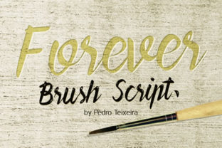 Forever Brush Script Font for Editorial Layouts