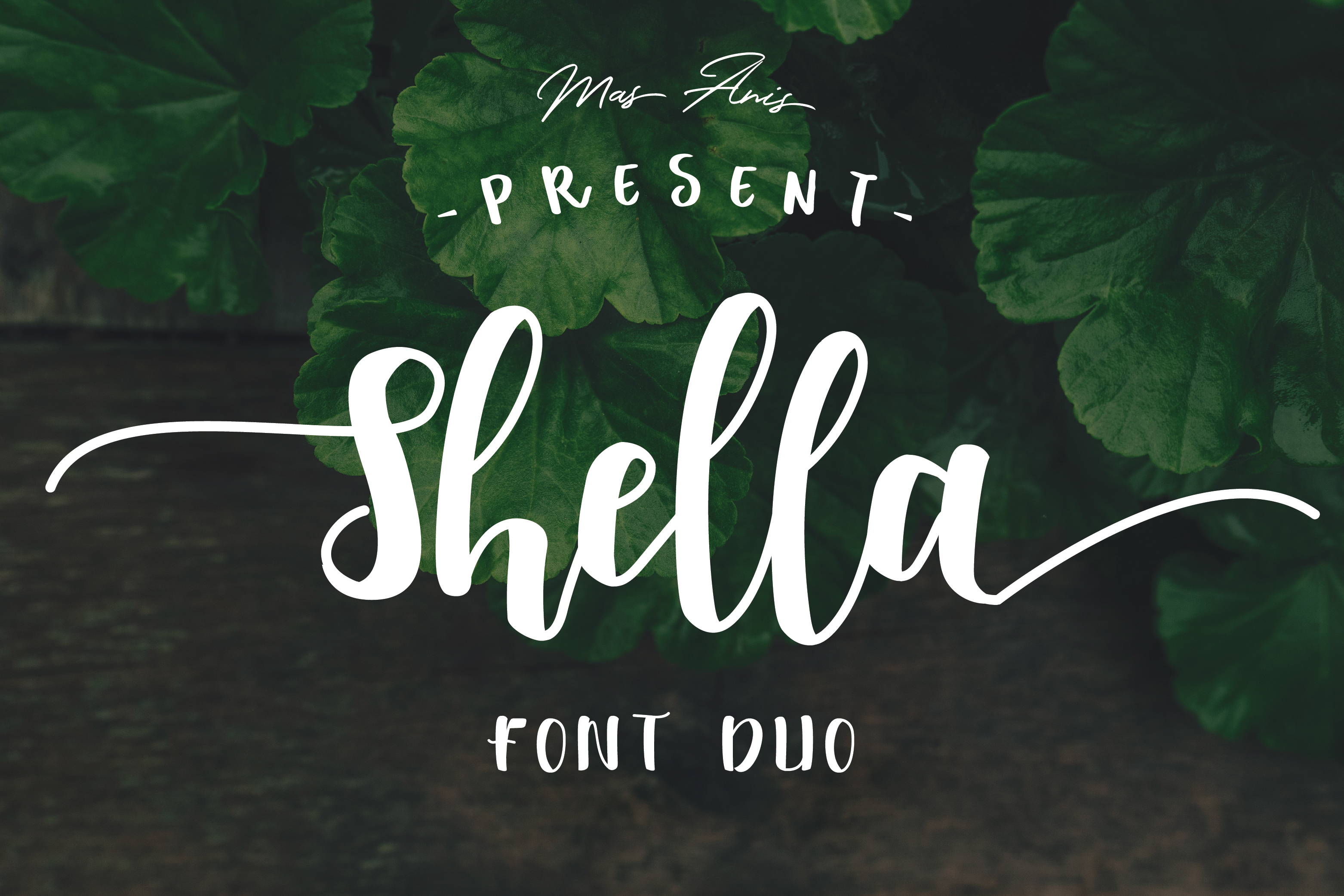 Shella: A Hand-Brushed Font for Creative Branding
