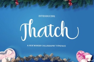 Thatch Font: Modern Script Typography for Digital Marketing