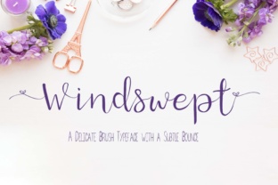 Windswept: A Delicate Script Handwritten Font for Modern Campaigns