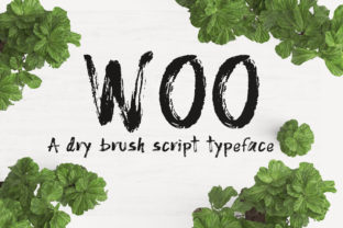 Woo Font Review: Real Dry Brush Script for Branding